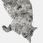 画像 2