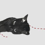 画像 5