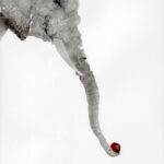 画像 9
