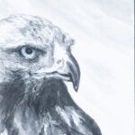 画像 5