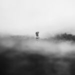 画像 4